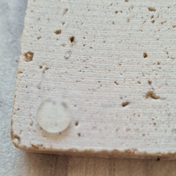 Lemon & Palm Tumbled Marble Coasters